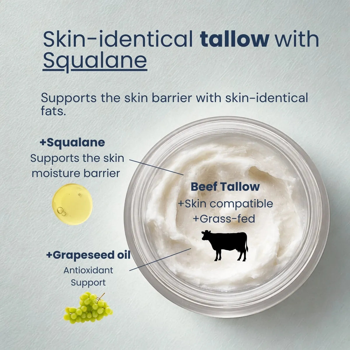 Top view of tallow face balm with squalane and grapeseed oil to support the skin barrier