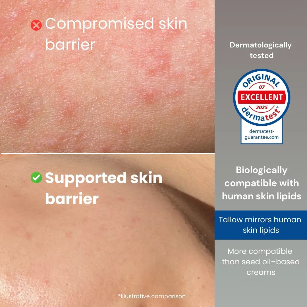 Illustration showing weakened and strengthened skin barrier with explanation of tallow-based skincare compatibility.