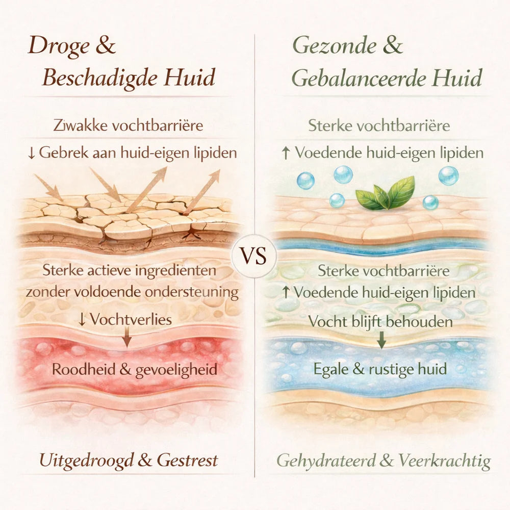 Vergelijking naast elkaar van een droge, beschadigde huid met zichtbare irritatie en disbalans versus een gezonde, gebalanceerde huid met een glad en egaal uiterlijk.