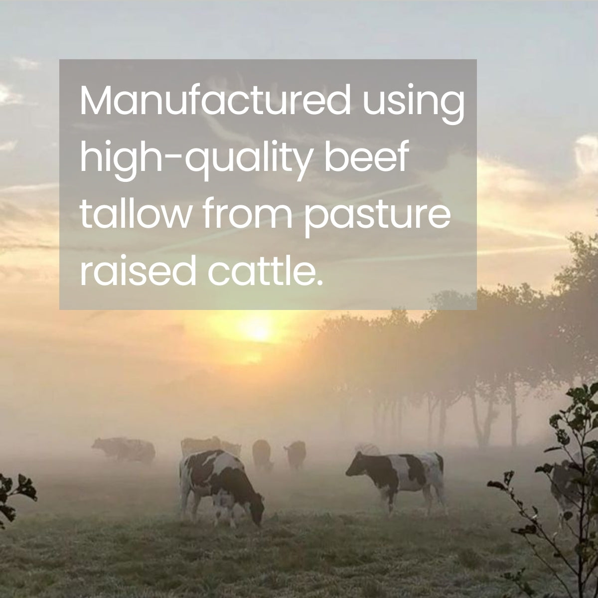 The Complete Tallow Face Balm Ritual