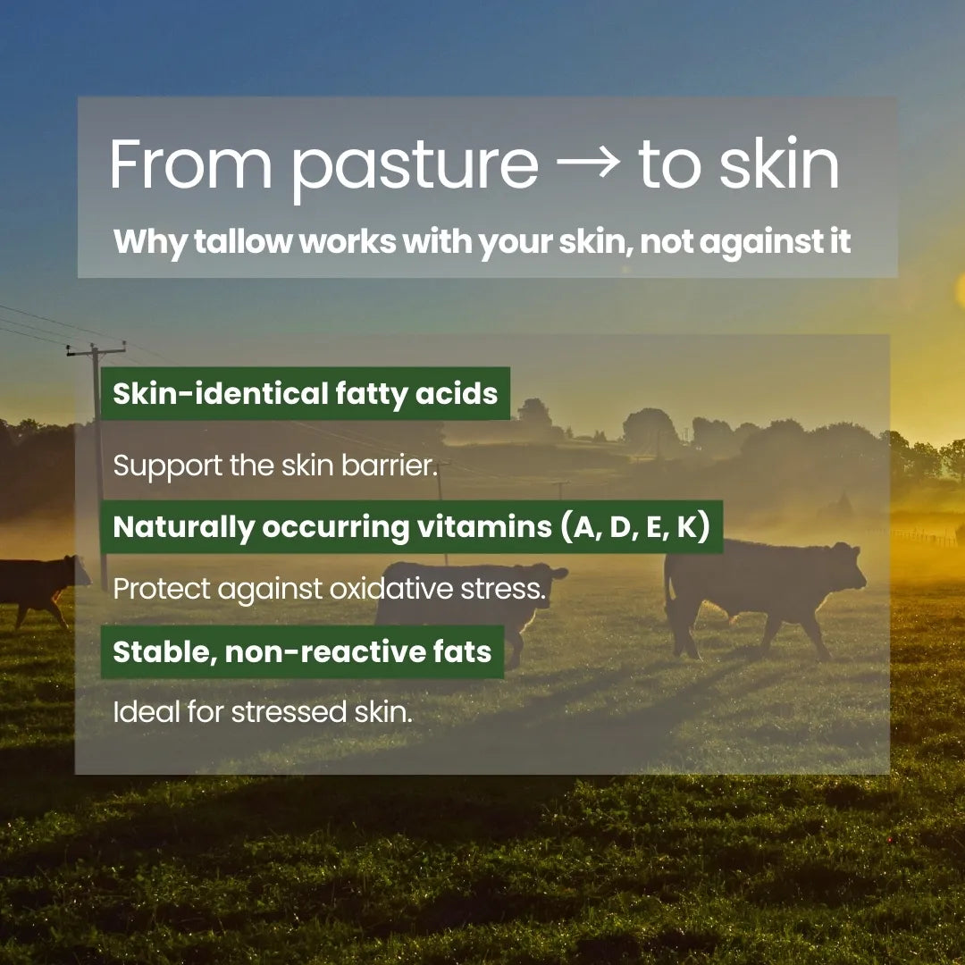 Illustration explaining how pasture-raised beef tallow works with the skin through skin-identical fatty acids and vitamins.