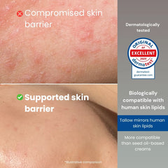 Illustration showing weakened and strengthened skin barrier with explanation of tallow-based skincare compatibility.